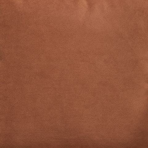 Caygan - Throw Pillow